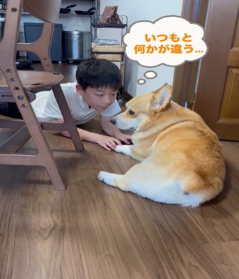 犬と男の子2