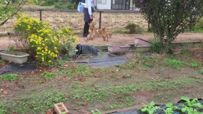 営業中のヤクルトレディさん！