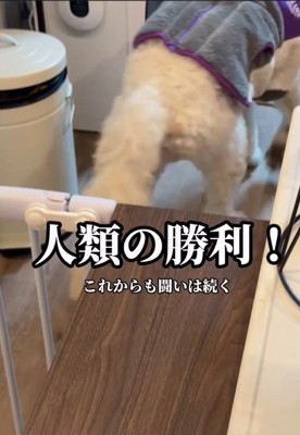 立ち去るソラくん