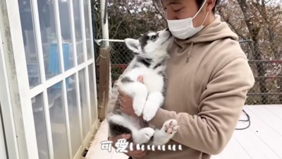 パパに抱っこされる子犬ちゃん