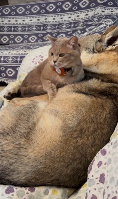 ワゾウスキくん&マイキーくん