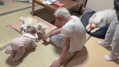 幸せな家族団らんでした