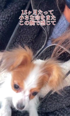 ぐしゃぐしゃの感情で帰路へ