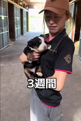 生後3週間のスワロちゃん