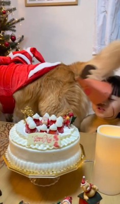 マックスくん＆ロイくんと育った男の子3