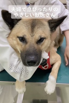 うーらんくんへの思いやりいっぱい