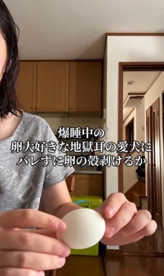 ゆで卵をむいた時のベラちゃん