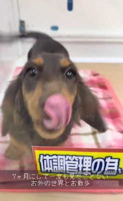 外を見たことがない