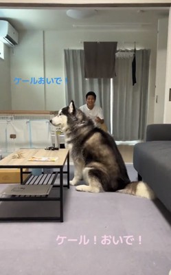 ケールくんを呼ぶふたり