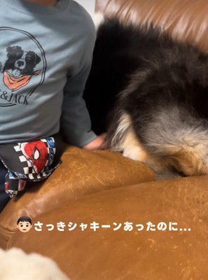 おもちゃの剣がなくなった!