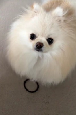 「探し物はこれ?」