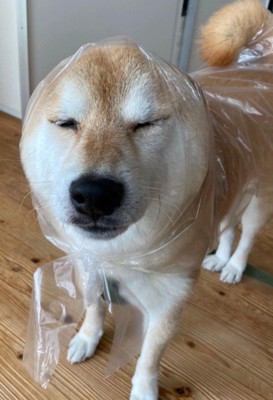 手作りレインコート