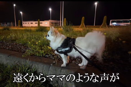 「まさか、ママがいるの?」