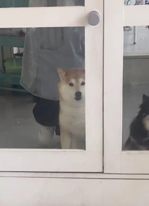 ガラス越しの熱い視線…♡