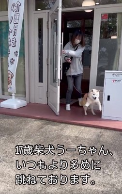 扉から出てきたうーちゃん