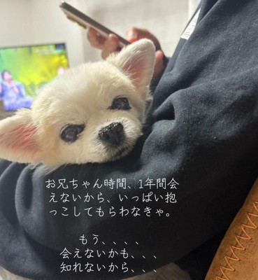 ずっと甘えていたそう