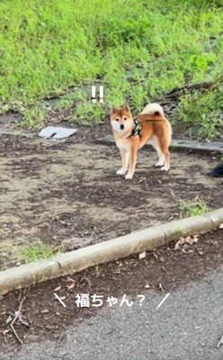 名前を呼ばれた福ちゃん