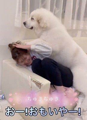 これからもっと大きくなります