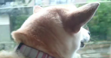 投稿主さんとドライブ