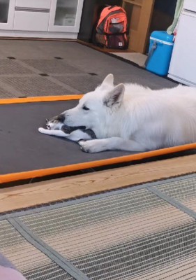 微笑ましい光景にほっこり