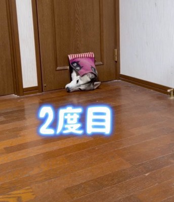 諦めず二度目の挑戦!!