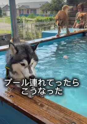 全然泳がない！！