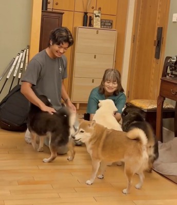 家族のそばに集まる4匹の犬