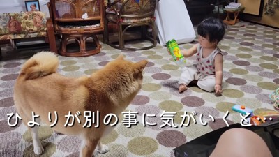 ひよりちゃんが余所見すると…