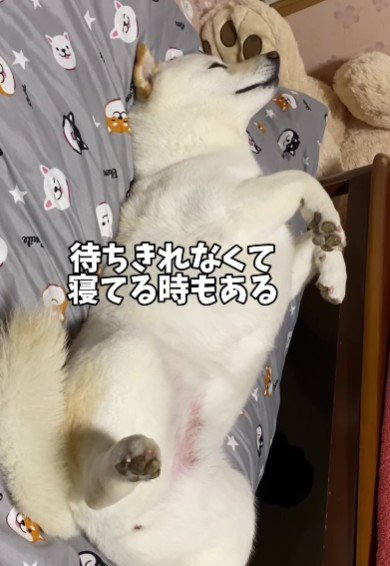 先に寝てしまうことも