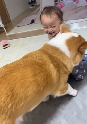 お姉ちゃんとこた君
