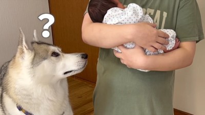 「どうしちゃったの？」