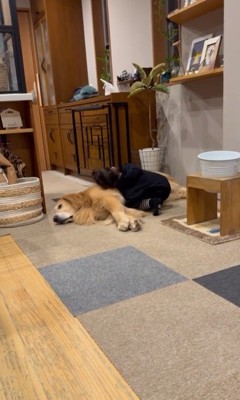 たお君を寝かしつける女の子2