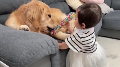 口から奪い取ってしまった