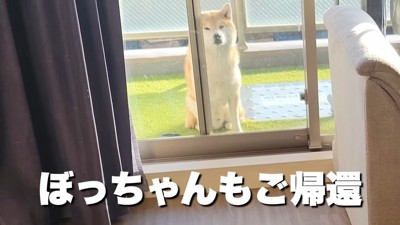 こむぎちゃんはお外派♪