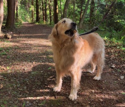 心優しい男の子