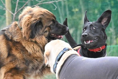 お友達もたくさんいるよ