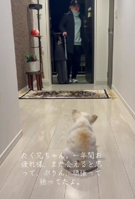 大好きなお兄ちゃん！