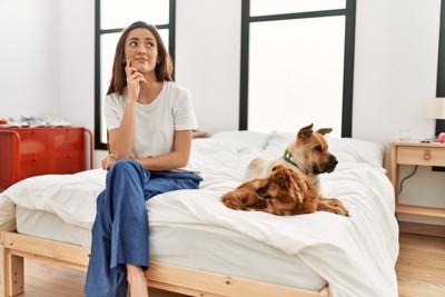 考える女性とベッドに座る犬たち