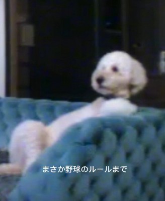 完全に休日のお父さん