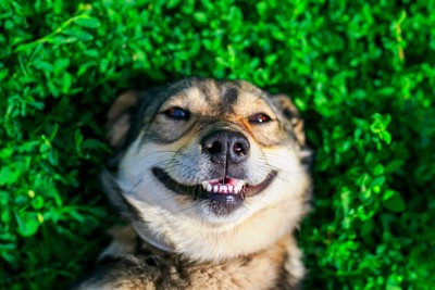 口角が上がっている、仰向け、顔のアップ