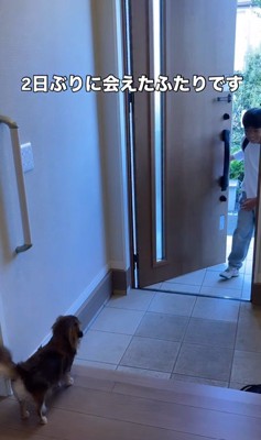 アムくんとお兄ちゃんの再会