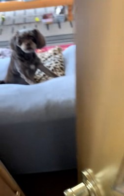 扉を開けた投稿者さん