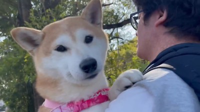 嬉しそう♪