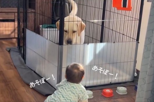 困惑
