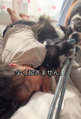 娘さんにぶつかるりく君