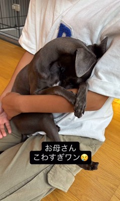 反省中のクッカちゃん⑩