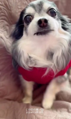 「せっかくなんだけど…」