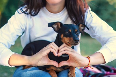 ハートのハンドサインと抱かれている犬