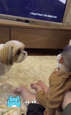 最後まで泣き止まなかったけど…