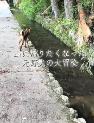 山へ遊びに行くと…